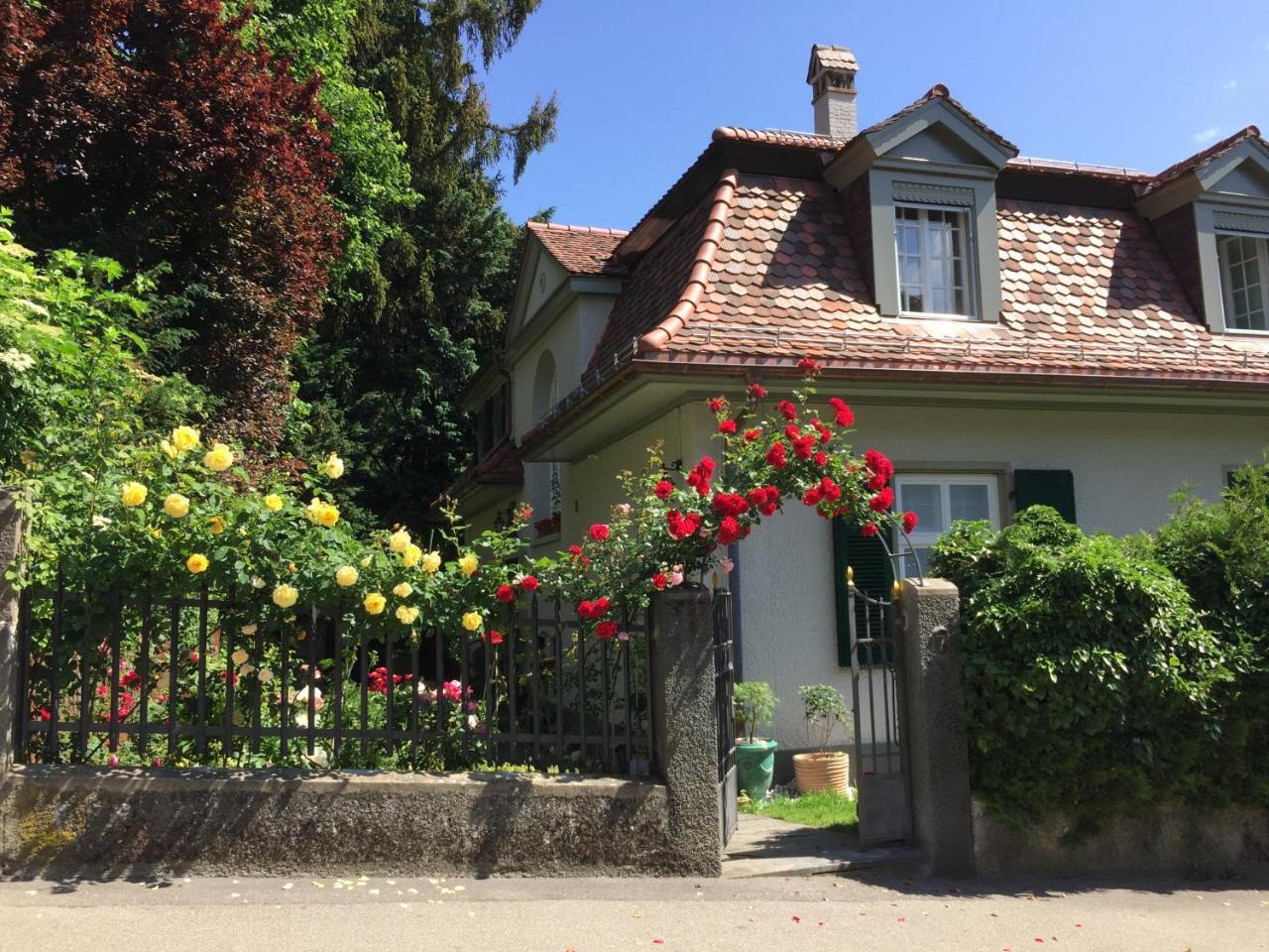 Bed And Breakfast Wildrose Bern Dış mekan fotoğraf